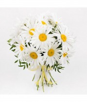 Bouquet of Daisies